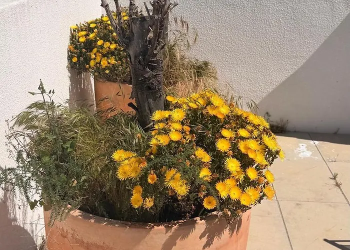 公寓 Nomad Dreams N2 Historic Center One Bedroom 卡斯凯什